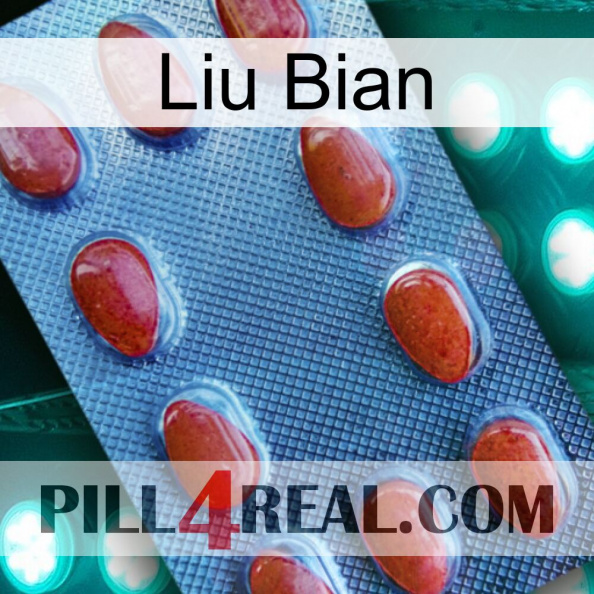 Liu Bian 06